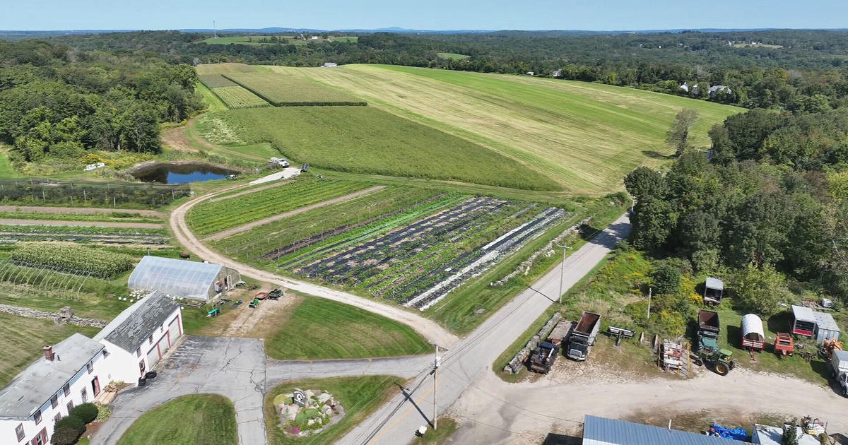 This Massachusetts farm has something other than apples and pumpkins in the fall