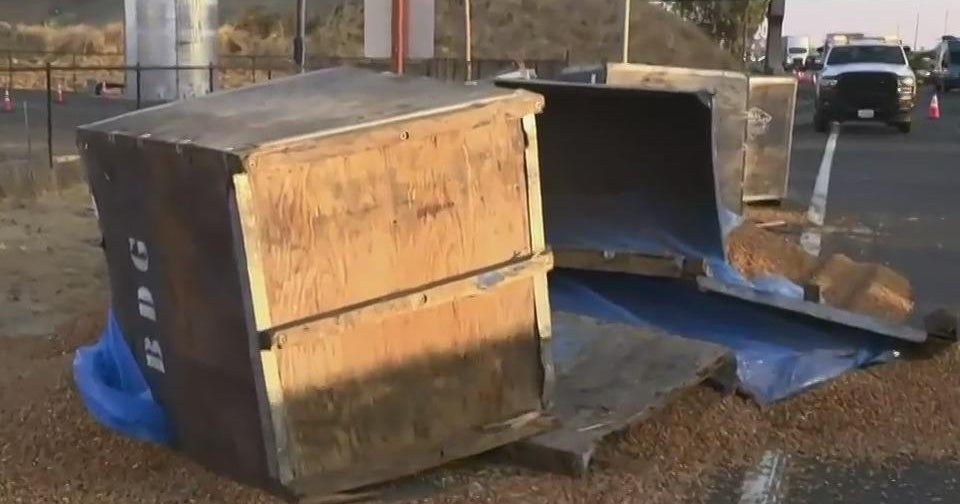 Large load of almonds spilled onto Highway 99