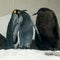 Nearly 50-pound Pesto the baby penguin takes internet by storm