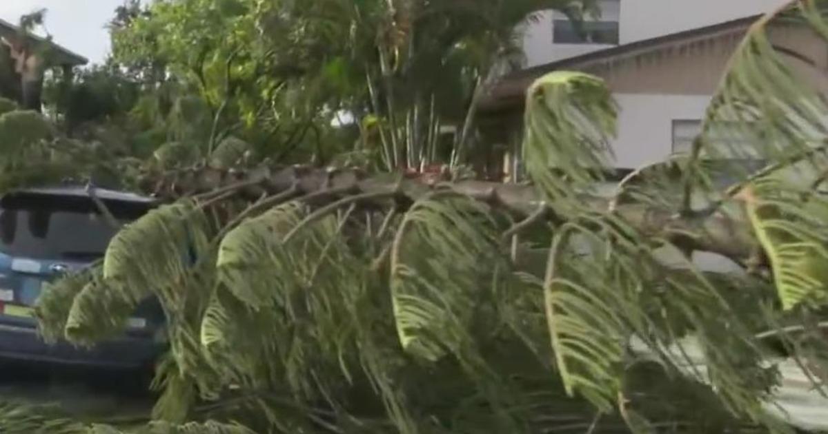 Hurricane Helene’s wind causes minor damage, rough conditions at the beach