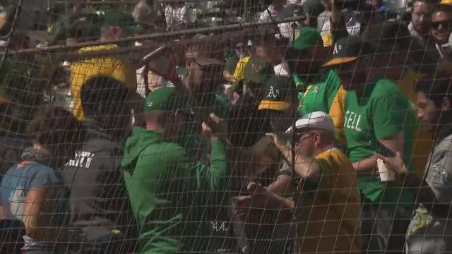 A's fans getting field dirt from Coliseum groundskeepers 