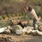 Mezcal emerges from tequila's shadow as Mexican production grows