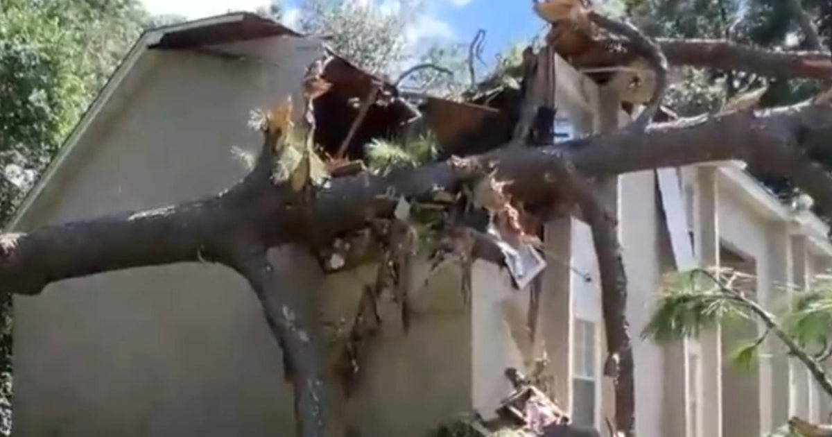 Helene sends trees tumbling into Florida homes