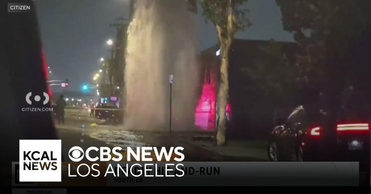 Police search for deadly South LA hit and run suspect - CBS Los Angeles