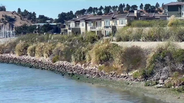 East Bay Shoreline Housing 