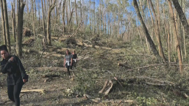 Hurricane Helene damage 