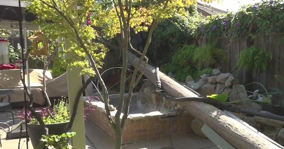 AT&T pole crashes into Sacramento backyard