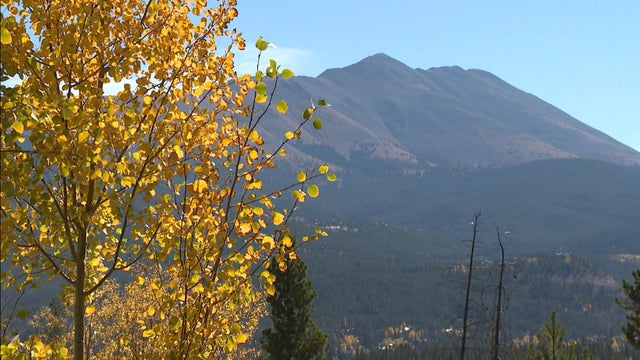 fall-colors1.jpg 
