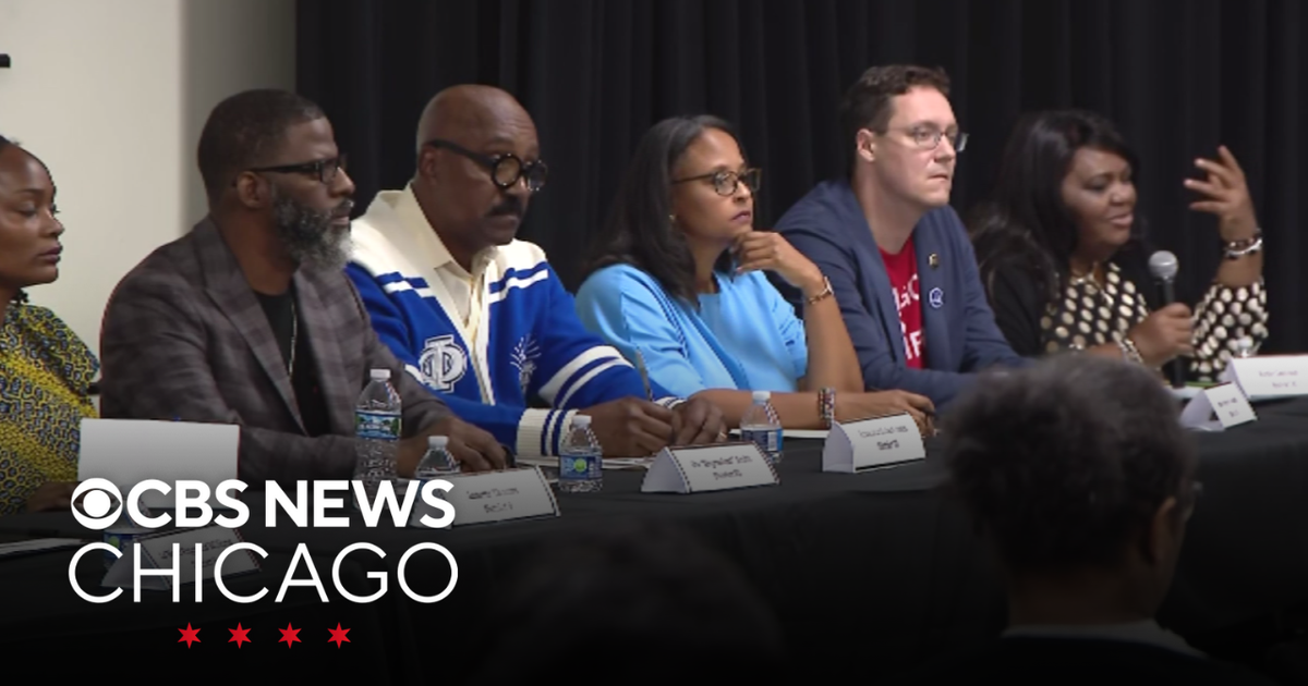 Chicago voters will pick 10 new members of the Board of Education this