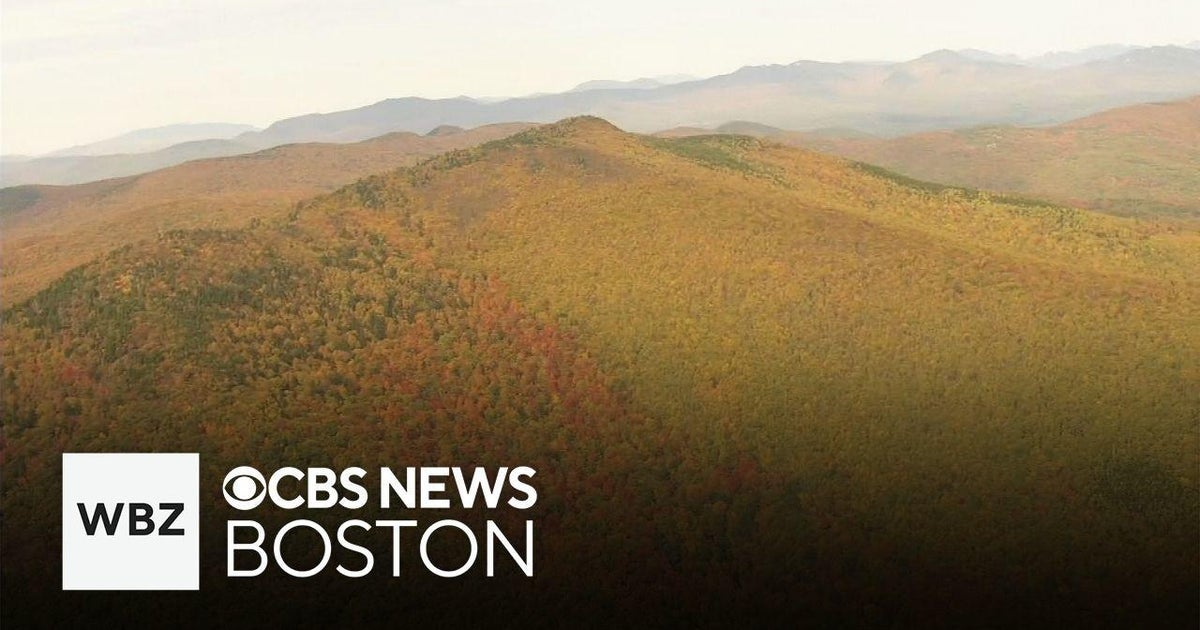 Fall foliage colors are starting to peak in New Hampshire's Lake Region
