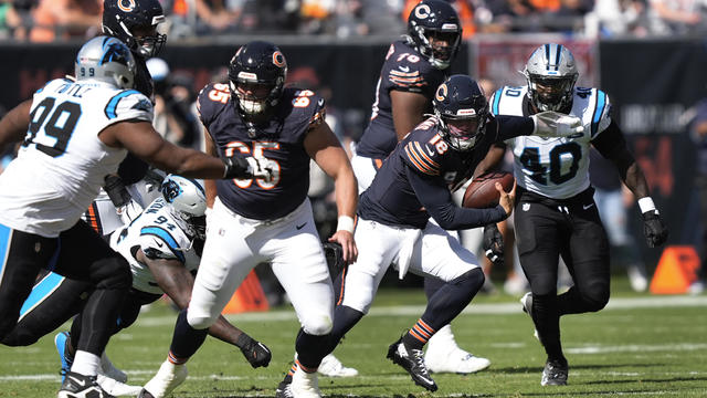 Panthers Bears Football 