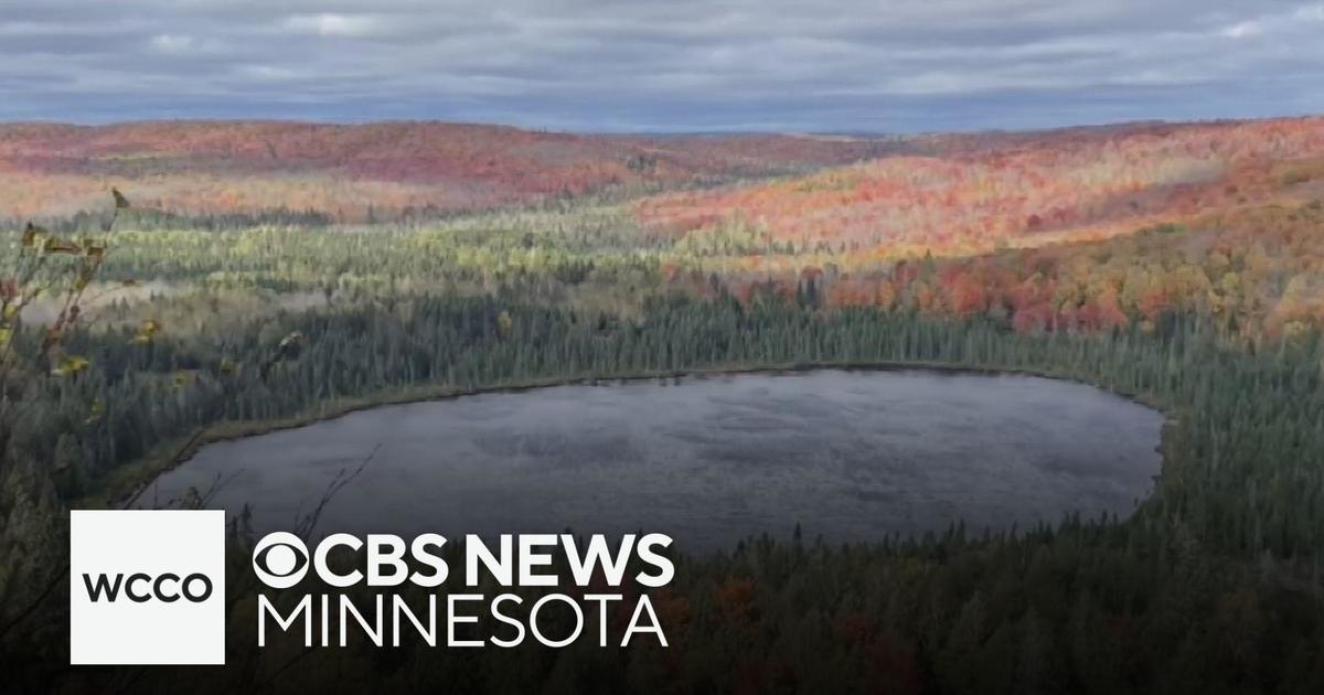 Fall foliage draws crowds and long lines in northern Minnesota