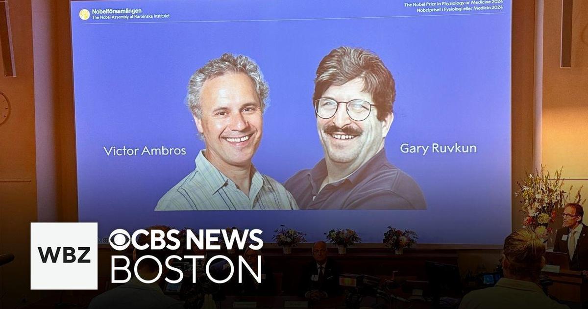 2 Massachusetts researchers awarded Nobel Prize in medicine