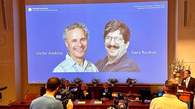 Announcement of the 2024 Nobel Prize - Medicine