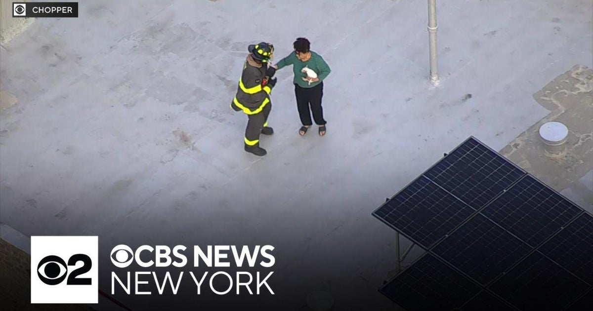 Video shows firefighters making rescues during Bronx apartment fire ...