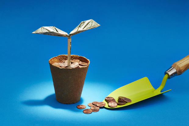 Origami dollar seedling growing in a flower pot of coins 