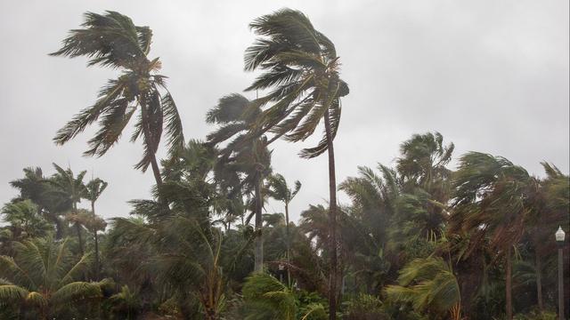 cbsn-fusion-former-noaa-hurricane-hunter-unpacks-dangers-milton-thumbnail.jpg 