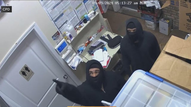 Belmont Cragin burglary suspects 