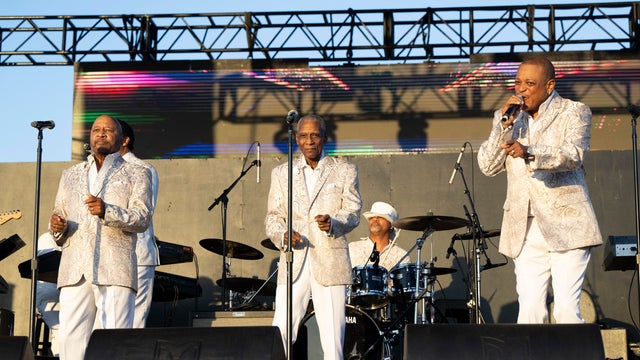 Fool In Love Festival 2024 