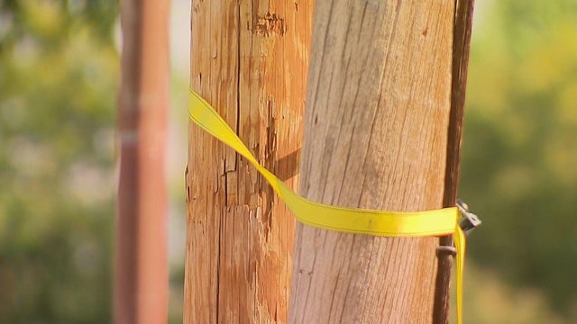 leaning-power-pole-6pkg-frame-3915.jpg 
