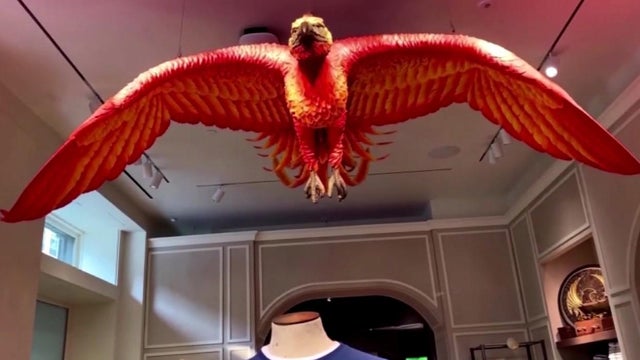 harry-potter.jpg 