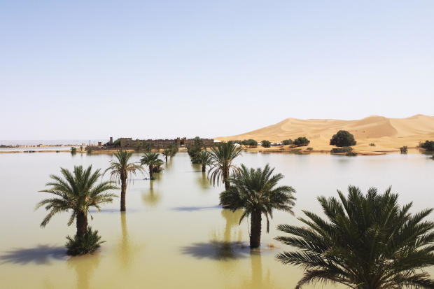 Palm trees are flooded in a lake caused by heavy rainfall in the desert town of Merzouga, near Rachidia, southeastern Morocco, Oct. 2, 2024. 