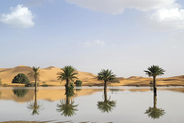 Palm trees are reflected in a lake caused by heavy rainfall in the desert town of Merzouga, near Rachidia, southeastern Morocco, Oct. 2, 2024. 