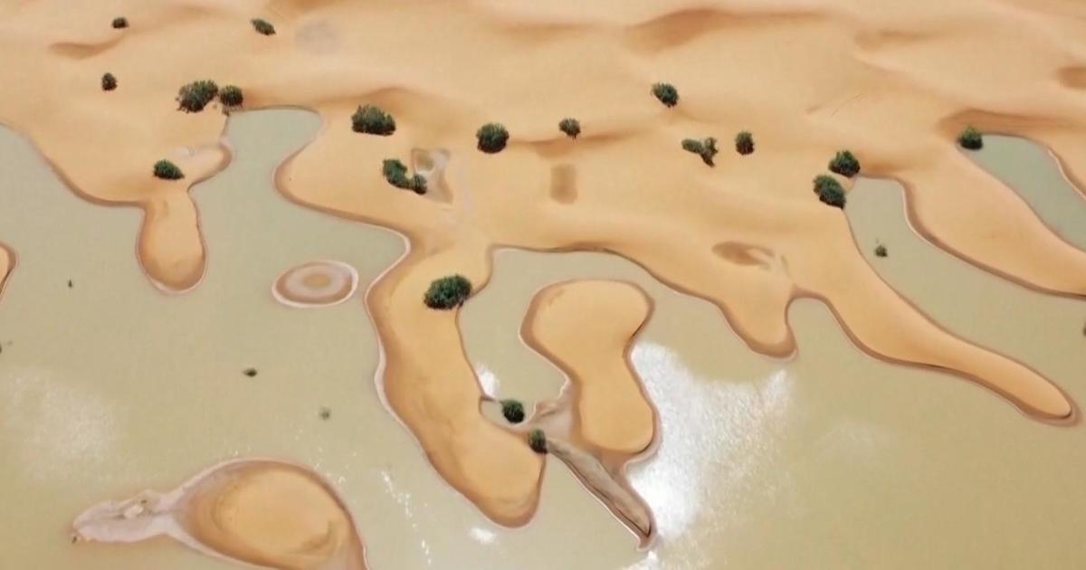 Sahara Barren region is flooding after receiving a 12 months’s value of rain in 2 days