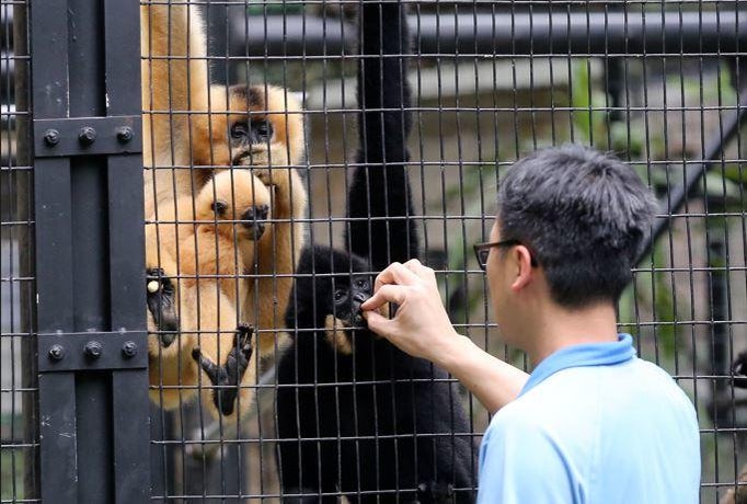 Hong Kong's oldest zoo seeks answers after deaths of 9 monkeys ...