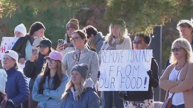 kellogg-protest.jpg 