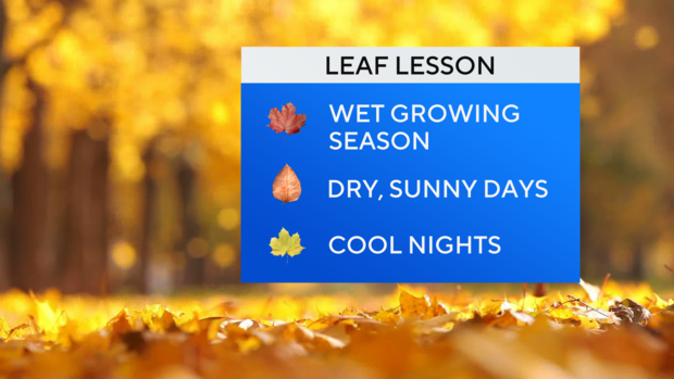 jl-fa-leaf-lesson-good.png 