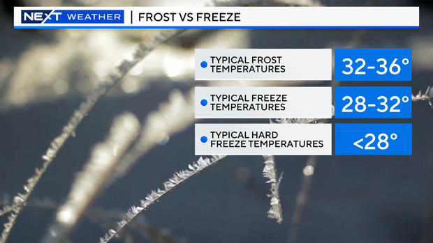 frost-v-freeze.jpg 