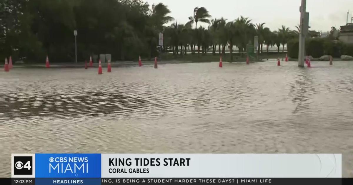 King tides bring potential flooding to South Florida CBS Miami