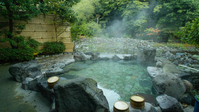 Natural hot spring bath, Hakone, Japan 