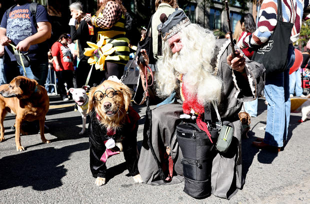 People and their dogs in costume take part in the 34th Annual Tompkins Square Park Halloween Dog Parade on October 19, 2024 in New York City. 