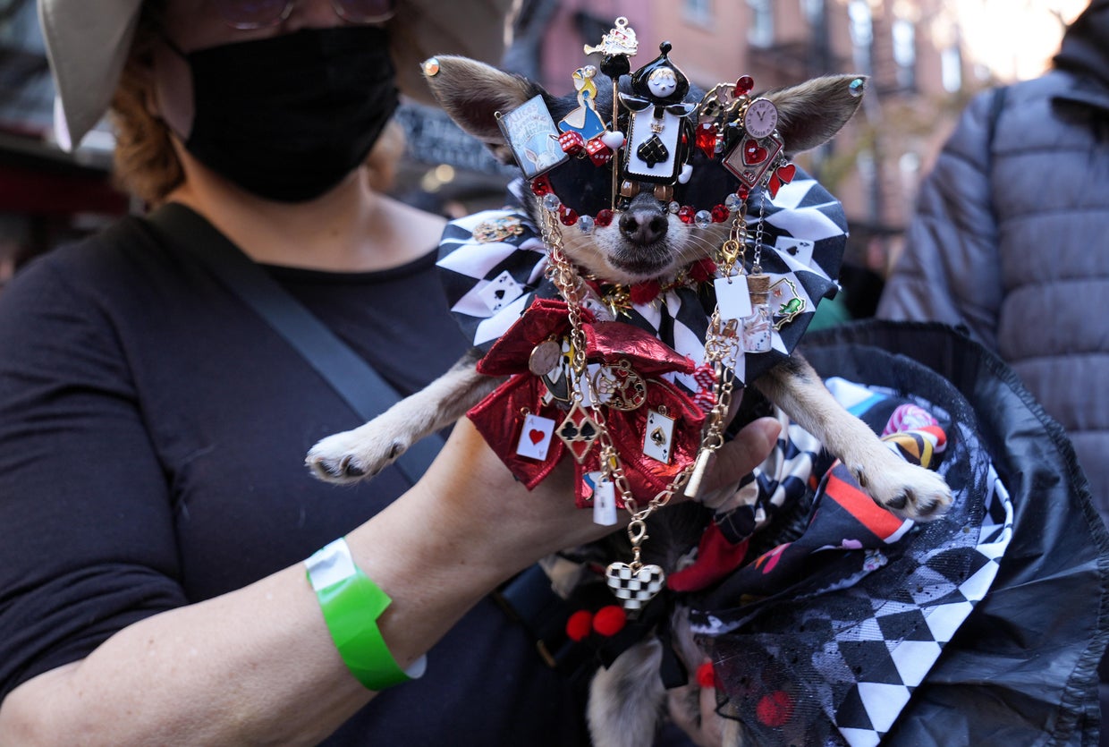 Dogs with costumes compete in the Halloween Dog Parade at Tompkins Square in New York City, United States on October 19, 2024.