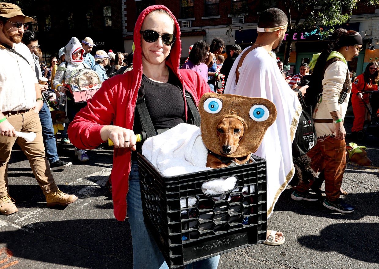 People and their dogs in costume take part in the 34th Annual Tompkins Square Park Halloween Dog Parade on October 19, 2024 in New York City.