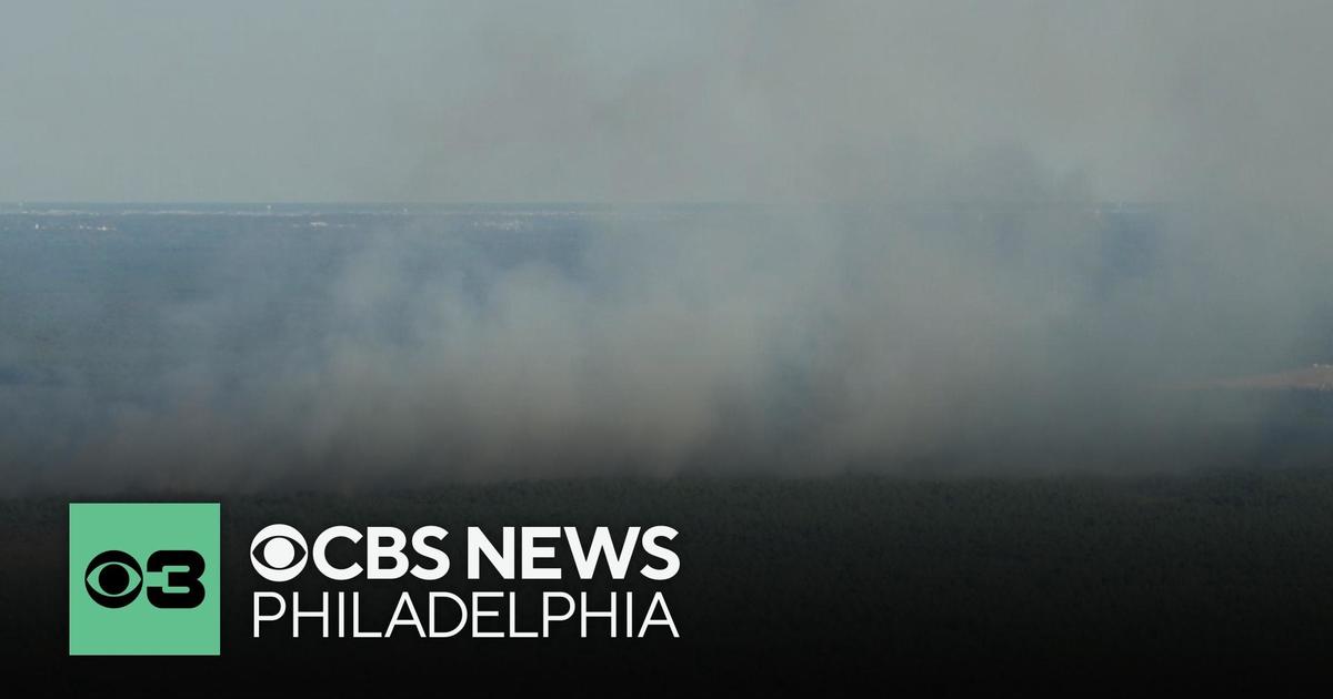 Wildfire burns at Joint Base McGuire-Dix-Lakehurst in Ocean County, New Jersey