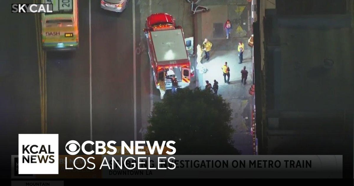 A suspect is in custody after an early morning Metro train stabbing ...