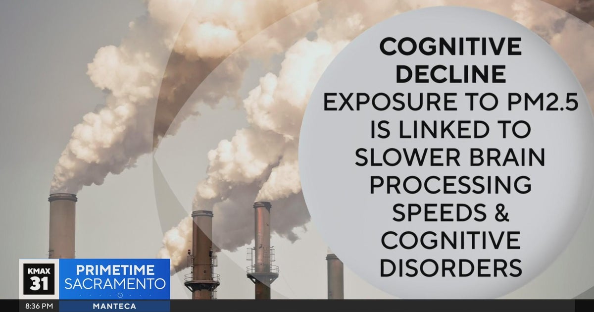 Can air pollution slow our brains? | The Answer