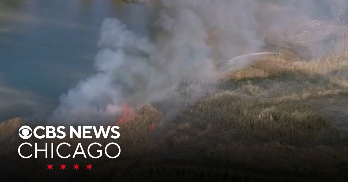 Fire breaks out in park in southwest Chicago suburbs - CBS Chicago