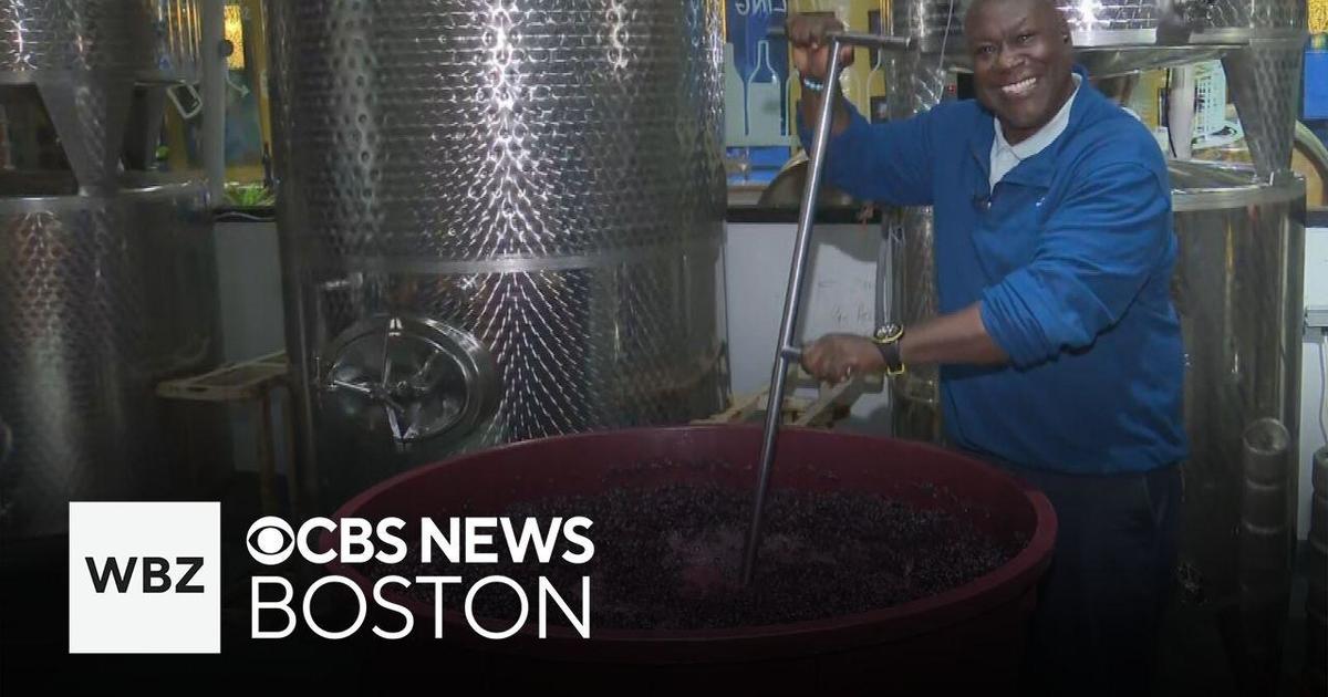 How wine is made at Boston’s City Winery