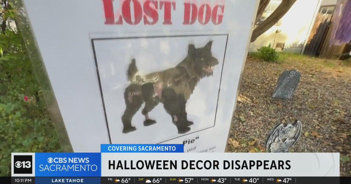 Sacramento boy's demon dog Halloween decoration stolen from front yard