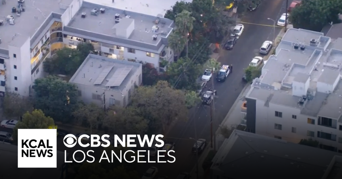 Police investigating deadly stabbing in Hollywood