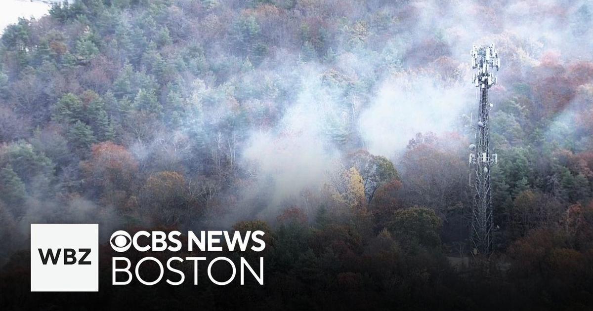 Massachusetts and Connecticut Wildfires Prompt State Responses