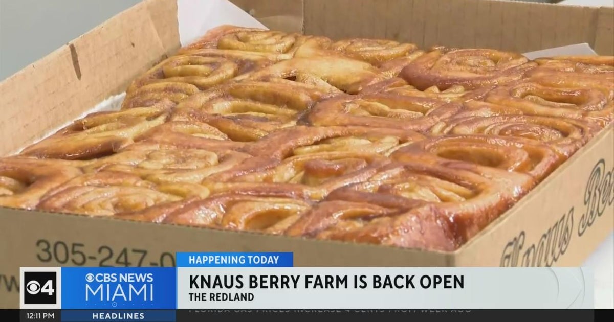 It’s a South Florida Fall tradition, Knaus Berry Farm opens for the season