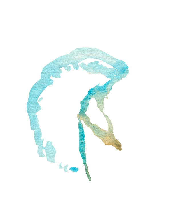 Dogfight and Villamor before