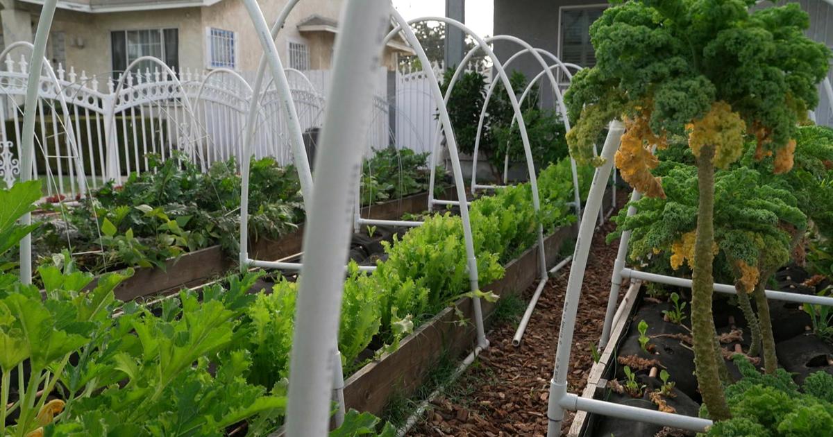 How a California organization transforms yards to feed communities