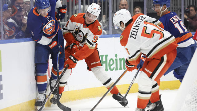 Ducks Islanders Hockey 