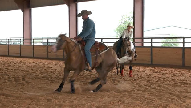 cowboy-class-yellowstone.jpg 